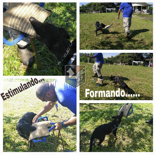 servicios servicios