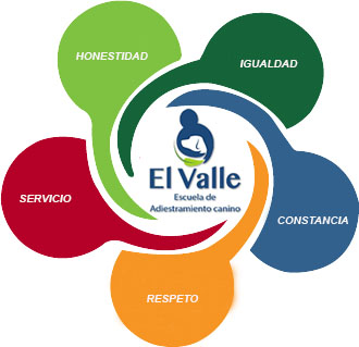 valores valores