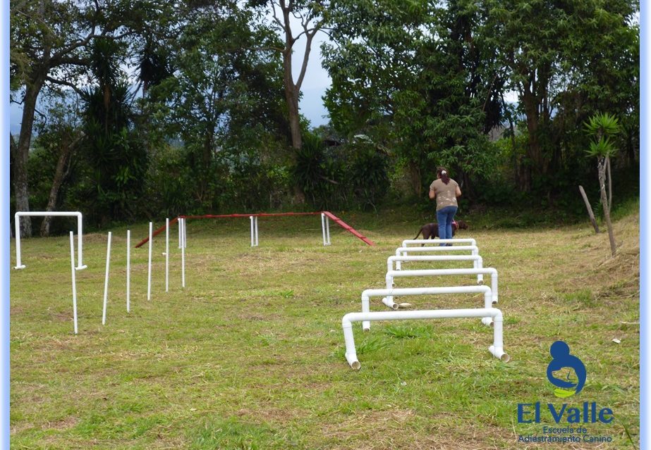 Pista de obstáculos  2