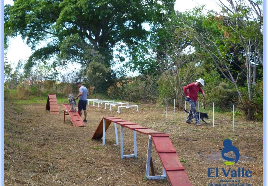 Pista de equilibrio