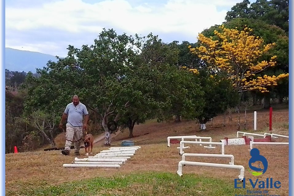 Pista de obstáculos 1