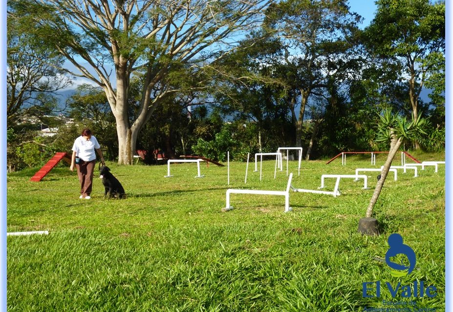 Pista  de obstáculos 2